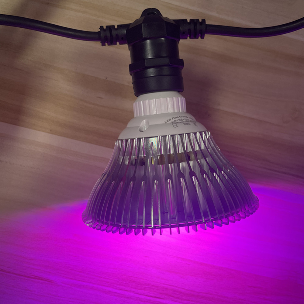 10M Cable LED String Commercia - Outdoor Power Socket 评论和价格