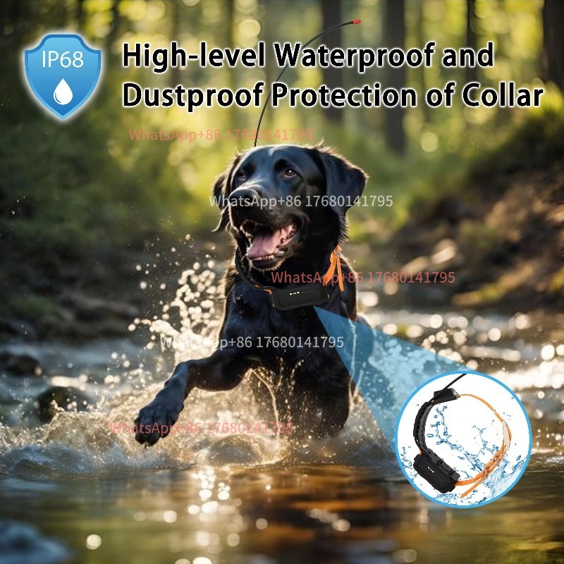 Outdoor Field Hunting Hound Tr - Outdoor Power Hours 评论和价格
