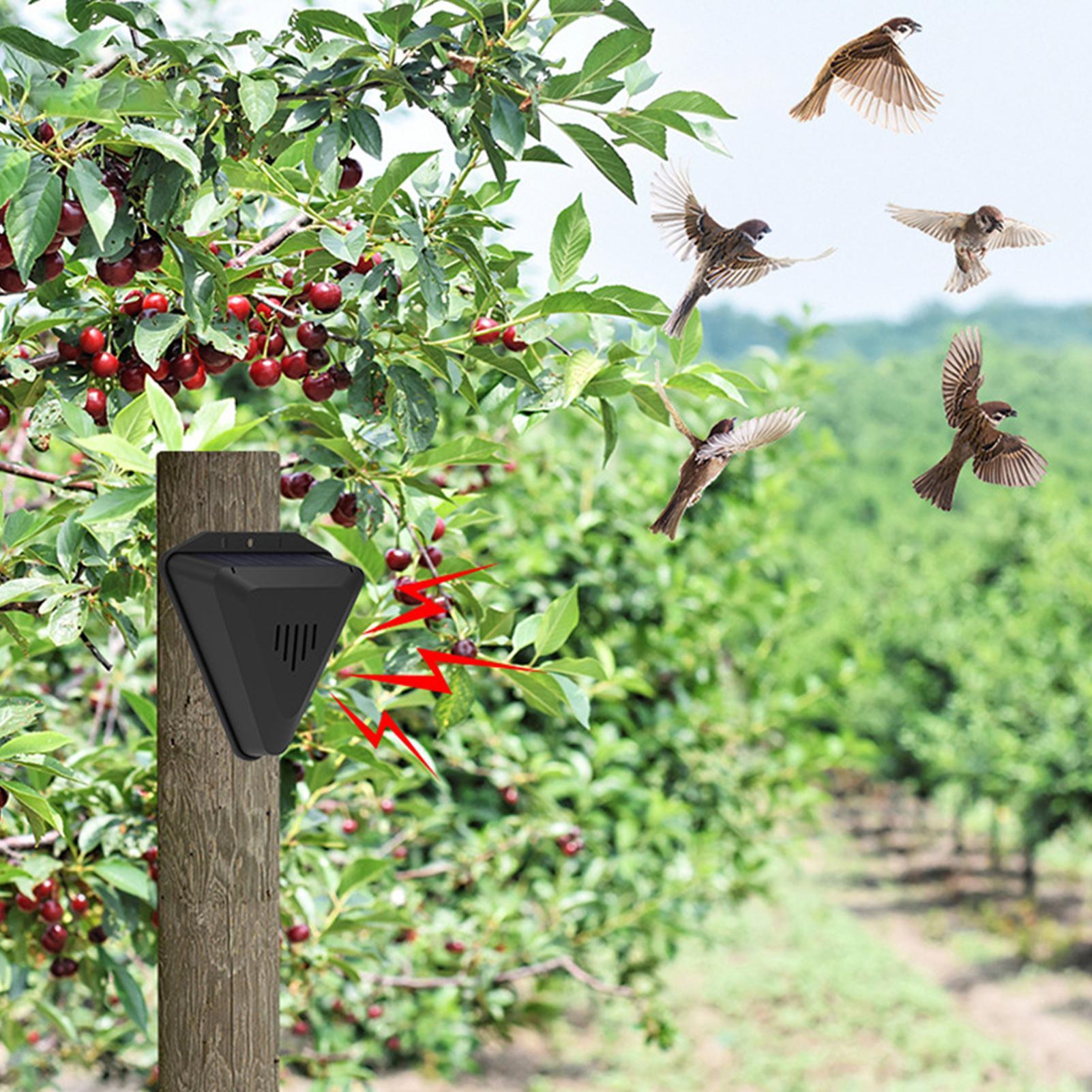 Solar Timer Bird Repeller With - Outdoor Power Hours 评论和价格
